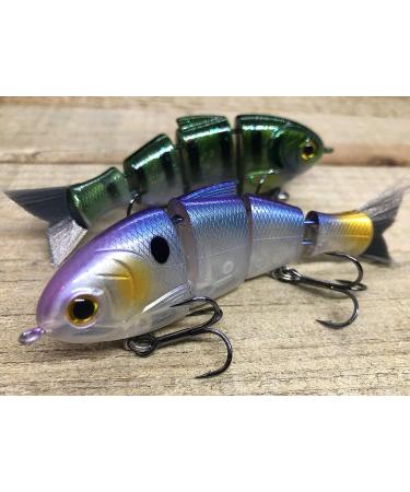 Mike Bucca Baby Bull Shad Swimbait 3.75 - 1/2 oz Golden Shiner | Catch Co Swimbait - Buy Online on GoSupps.com