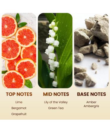 Prestige Diffuser Oil Inspired by St.Regis Hotel Scent Aromatherapy Essential Oil (0.34 fl oz Hotel Inspired Diffuser Oil All Types of Diffusers Diffuser Refills Hotel Inspired Diffuser Oil All types of Diffusers Diffu  - Buy Online on GoSupps.com