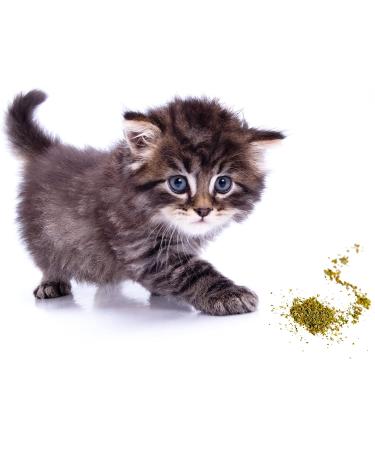 Maximum Potency Organic Catnip Blend - Premium Cat Weed for Crazy Cat Play - 1 Cup - Buy Online on GoSupps.com