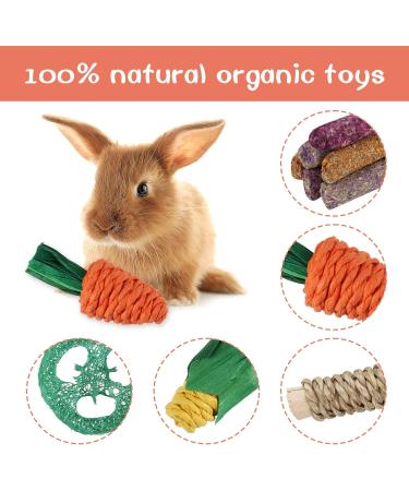 Fanshiontide 14 In 1 Bunny Chew Toys for Teeth Rabbit Chew Toys Timothy Hay Sticks Rabbit Toys Boredom Breaker Loofah Wood Grass Carrots Corn Chew Toys for Rabbit Guinea Pig Hamster Chinchilla - Buy Online on GoSupps.com