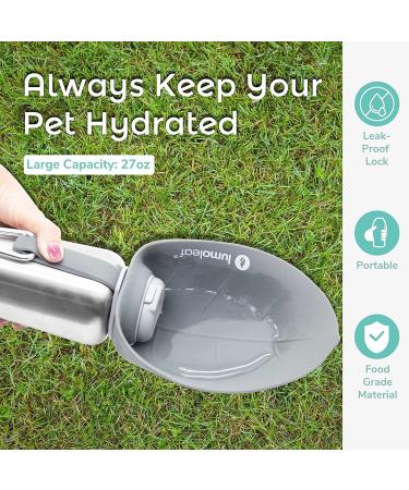 Leak-Proof LumoLeaf 35oz Dog Water Bowl | No-Spill Slow Feeder for Pets - Buy Online on GoSupps.com