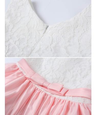 LZH Baby Girls Lace Dress | Flower Pageant Baptism Tutu Gown | 0-24 Months, 4-5 Years | Baby Pink - Buy Online on GoSupps.com
