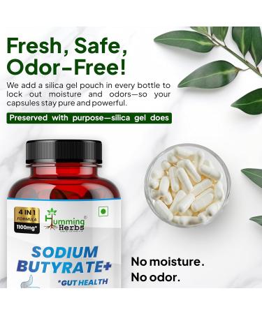 Humming Herbs Sodium Butyrate+ Capsules 4-in-1 Digestive Support with L-Glutamine + Prebiotic Inulin + Probiotic Blend (10 Billion CFU) 120 Vegetarian Capsules 120 Count (Pack of 1) - Buy Online on GoSupps.com