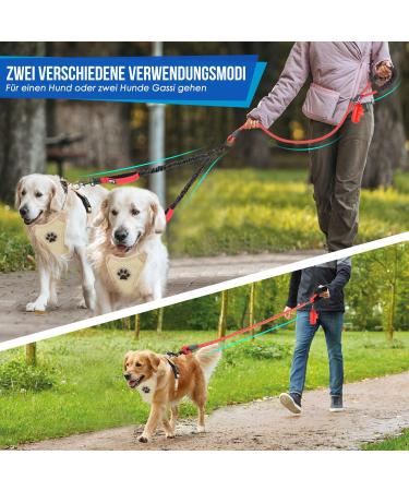 Eyein Double Dog Leash for 2 Small & Medium Dogs Flexible Reflective Tangle-Free with 2 Padded Handles for 3-16kg Dogs (Red) - Buy Online on GoSupps.com