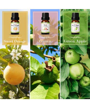 Salking Essential Oils Set - 6x10ml 100% Organic Aromatherapy Fragrance Oils for Diffusers Humidifiers & Massage | Cherry Pineapple Raspberry Sweet Orange Guava Green Apple - Buy Online on GoSupps.com