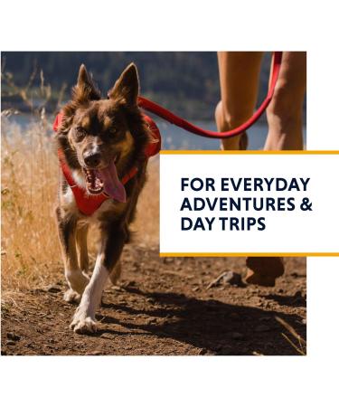 Luffwear Dog Harness with Built-In Bags | SwitchBak for Large Breeds | All-Day Comfort | Red Sumac - Perfect for Short Trips & Everyday Activities - Buy Online on GoSupps.com