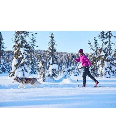 Trekking Belt by Nonstop | Running Jogging & Hiking Belt for Dogs (S Purple) - Best for Outdoor Adventures - Buy Online on GoSupps.com