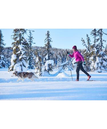 Non-Stop Dogwear Trekking Belt Size S - Blue | Best for Hiking & Outdoor Adventures - Buy Online on GoSupps.com