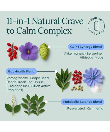 GLP-1 Support Supplement - Natural Weight Loss & Appetite Control for Men and Women with Akkermansia Berberine Inulin EGCG Green Tea Resveratrol Hops - Supports Digestion Cravings Regularity - Buy Online on GoSupps.com