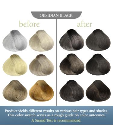 DIY Natural Mineral Color Dye Kit | 100% Vegan Ammonia-Free Hair Color Spray for Men & Women | Non-Toxic Obsidian Black Gray Coverage for Scalp & Beard - Buy Online on GoSupps.com