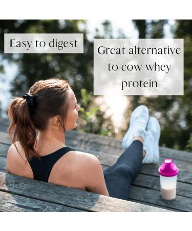 Mt. Capra Deep 30 | Meal Replacement Shake, Goat Protein Powder with Grass-Fed Whey Protein, Casein Protein, Minerals, and BC-30 Probiotics | Strawberry Splash | 30 Servings - 2 Pounds - Buy Online on GoSupps.com