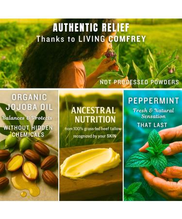 Organic Comfrey Salve Peppermint Comfrey Cream | Comfrey Salve for Bone Support Organic | Joint & Muscle Support Cream Whipped Balm 2oz Peppermint with Grass-Fed Beef Tallow & Jojoba Oil - Buy Online on GoSupps.com
