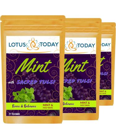  lotustoday Mint Herbal Tea Refreshing Spearmint Peppermint & Holy Basil Fresh Mint Tea Bags (63 Tea Bags) - Buy Online on GoSupps.com