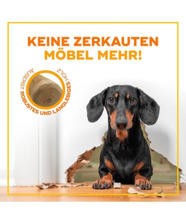 Natural Dog Treats | Coffee Wood Chewing Bones for Dogs & Puppies | Caustab & Kachtiele Dog Toys 2-Pack - Buy Online on GoSupps.com