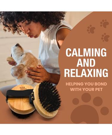 Bamboo Handheld Pet Brush with Soft Boar Bristles for Dogs and Cats - 1 Pack - Buy Online on GoSupps.com