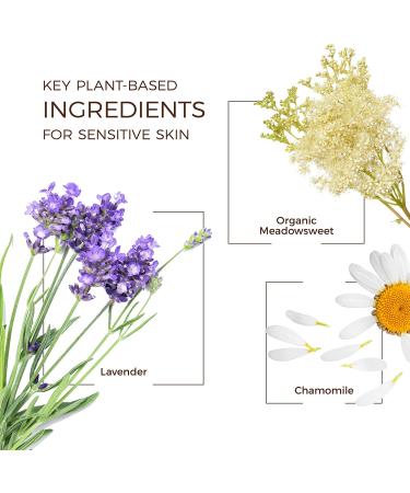 Babo Botanicals Calming 3-in-1 Wipes - Lavender & Meadowsweet for All Ages | 30 ct - Buy Online on GoSupps.com