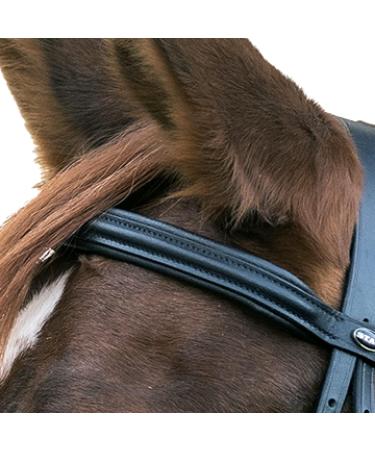 Shop Star Waldhausen Bridle Hannover in Black for Thoroughbreds | International Shipping Available - Buy Online on GoSupps.com