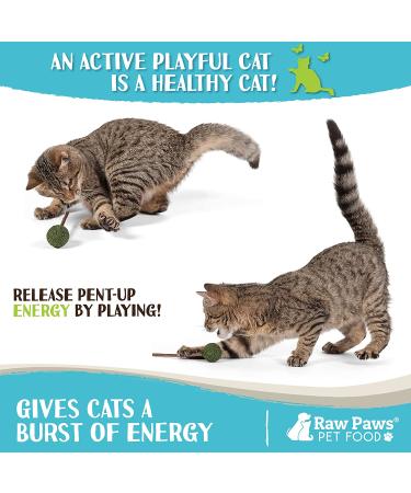 Raw Paws Catnip Lollipop (6-Pack) - Catnip Toys for Indoor Cats - Catnip Ball, Silvervine & Matatabi Stick for Cats - Buy Online on GoSupps.com