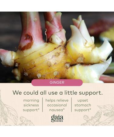 Buy Gaia Herbs Nausea Organic Gummies Vegan Ginger & Lemon Relief for Occasional Nausea 60 Count (30-Day Supply) - International Shipping Available - Buy Online on GoSupps.com