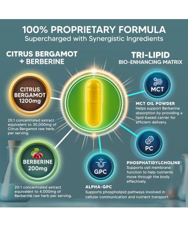 aSquared Nutrition Citrus Bergamot with Berberine Supplement - 1400mg Max Strength Complex - 120 Capsules - 25:1 Extract - High Cholesterol Support - Pills Alternative to Gummies & Liquid Drops - Buy Online on GoSupps.com