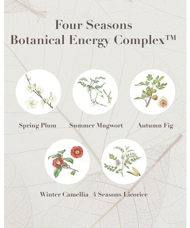 Sooryehan THE SAGA OF SOO Botanical Energy Multi Stick - Best Korean Skincare Balm for Sensitive Skin (10g) | International Shipping Available - Buy Online on GoSupps.com