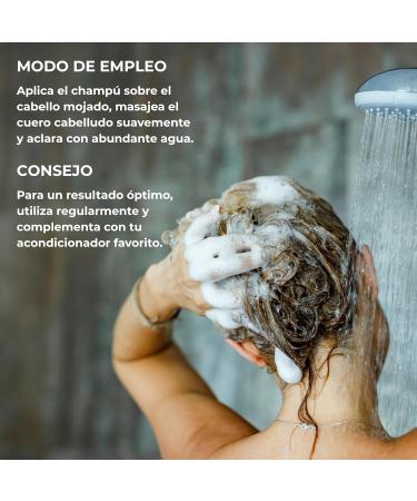  Babaria Babaria 6 x X6 Anti-Dandruff Shampoo 380ml - Buy Online on GoSupps.com