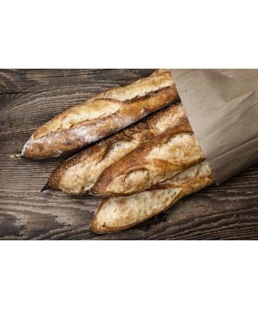 Organic Barley Backmalz 1kg - Enzyme-Active Malt Flour for Crispy Bread & Rolls - Additive-Free Bio Barley Malt - Buy Online on GoSupps.com