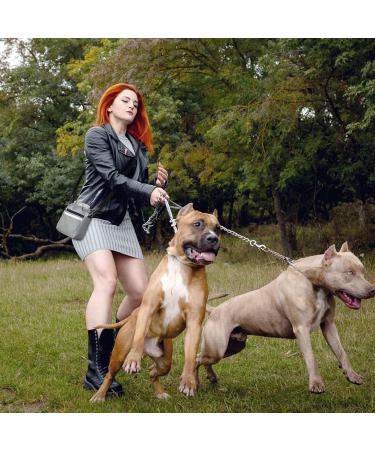 Buy Aocclant Dog Training Bag - Versatile Hip Belt for Treats Toys & Essentials | Easy Carry Gray - Buy Online on GoSupps.com