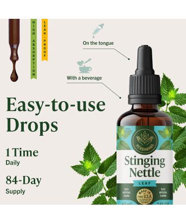 HERBAMAMA Stinging Nettle Tincture - Vegan Urinary Tract Support with Stinging Nettle Leaf Extract Drops - Non-GMO Alcohol & Sugar-Free Urtica Dioica Kidney Supplement 84-Day Supply 2 Fl Oz (Pack of 1) - Buy Online on GoSupps.com