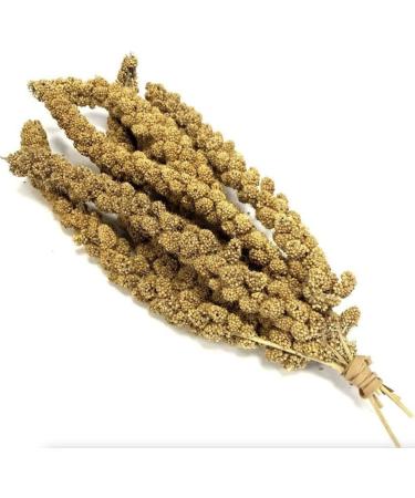*New* Millet Sprays 1kg Premium Cage Bird Food Seed - Buy Online on GoSupps.com