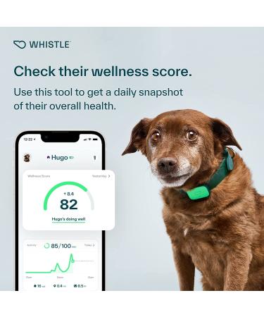 Whistle Health Smart Device for Dogs | Fitness & Activity Tracker - Green - Buy Online on GoSupps.com