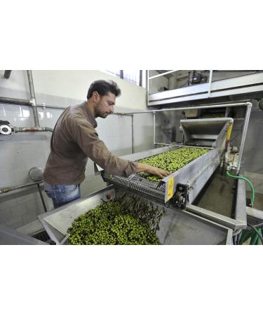 Premium Native Olive Oil Extra 100% Italian - Cold Pressed 3L Canister | Ideal for Culinary Excellence - Buy Online on GoSupps.com