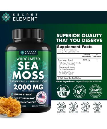 Sea Moss Bundle Wildcrafted Irish Sea Moss Capsules with Burdock Root Bladderwrack Muira Puama + Seamoss Black Seed Oil Ashwagandha & Ginger 240 Vegan Capsules - Buy Online on GoSupps.com