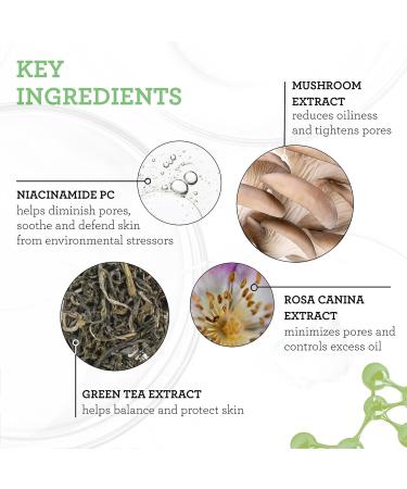 Bliss Radiance & Pore Perfecting Duo: Niacinamide Toner & Vitamin C Serum Pore Minimization Dark Spot Reduction and Skin Brightening Clean Vegan & Cruelty-Free - Buy Online on GoSupps.com