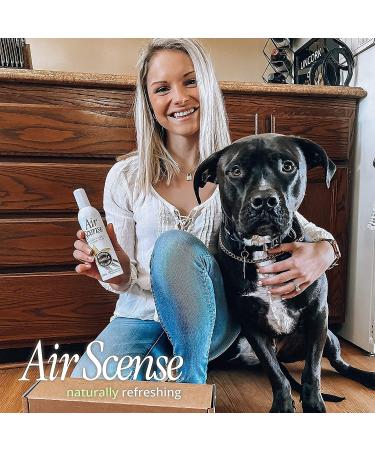 Air Scense Vanilla Air Freshener 7 oz - Case of 4 | Long-Lasting Fragrance - Buy Online on GoSupps.com