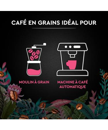 BLACK CARD - Coffee Bean Carte Noir "Secrets de Nature" - Congusta & Mundo Novo - Rainforest Alliance Certified - Pack of 1 k - Buy Online on GoSupps.com