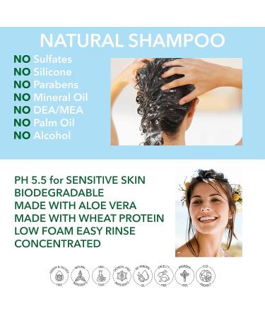 Natural Clarification Flushing - Apple Cider Vinegar & Tea Tree - 250ml | Paraben-Free Sulfate-Free Silicone-Free | pH 5.5 for Sensitive Skin - Nature's Intervention - Buy Online on GoSupps.com