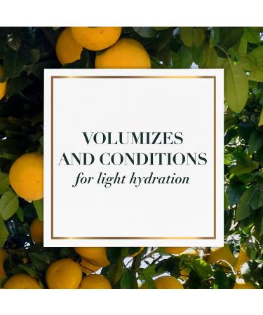 Herbal Essences Bio Renew White Grapefruit & Mosa Mint Naked Volume Shampoo & Conditioner Kit - 20.2 fl oz - For Fine Hair - Color Safe - Buy Online on GoSupps.com