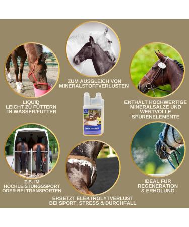 Emma Electrolyte for Horses 1L + Vitamin B12 | Essential Minerals for Optimal Equine Health - Buy Online on GoSupps.com