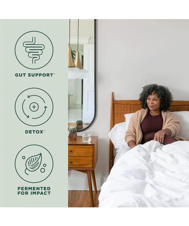 Ancient Nutrition Gut Health Supplement | Leaky Gut Capsules with Licorice Root, Astragalus, Marshmallow & L-Glutamine | Gluten Free | Paleo & Keto Friendly | 60 Ct - Buy Online on GoSupps.com