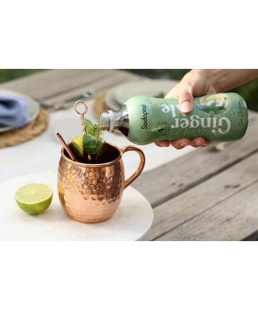 Sodapop Ginger Ale Syrup - Bar Edition | Easily Makes 4L | 500ml Ready Drink | 1 Pack - Buy Online on GoSupps.com