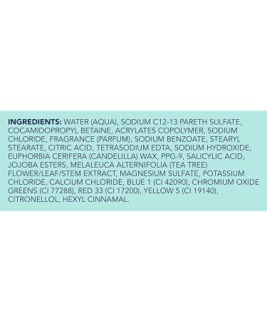 Degree Post-Workout Recovery Skincare Routine Body Wash with Tea Tree & Epsom Salt 22 Fl Oz (Pack of 4) - Buy Online on GoSupps.com