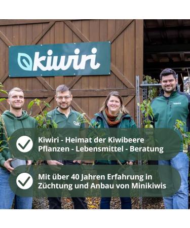  KIWIRI Kiwiri 's Jus de kiwiberry direct | 100% fruit content | German kiwi/minikiwis fruit juice (12 x 0.2 l) - Buy Online on GoSupps.com