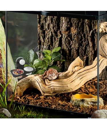 Jetisva 2pcs Reptile Water and Food Bowl Crested Gecko Feeding Ledge Plastic Suction Cup Reptile Water Dish Reptile Feeder for Lizard Chameleon Turtle Tortoise Snake Scorpion Centipede Fits Tank - Buy Online on GoSupps.com