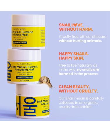 Korean Snail Mucin & Turmeric Face Mask | Anti-Aging K Beauty with Saffron & Rice Bran | Hydrating 2oz Mask - Buy Online on GoSupps.com