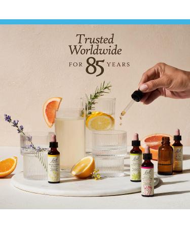Bach Chicory Flower Essence 20mL: Unconditional Love, Holistic Wellness Relief - Vegan & Natural - Buy Online on GoSupps.com