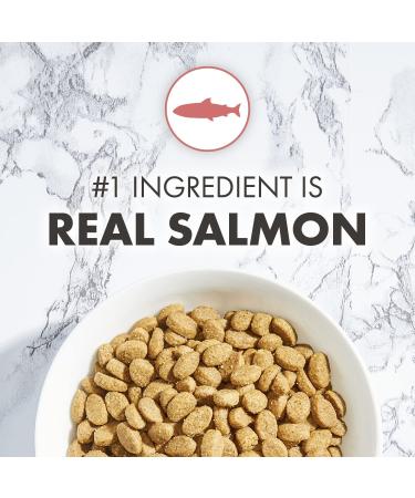 NUTRO Adult Dry Cat Food, Salmon & Brown Rice Recipe, 14 lb - Pack of 1 - Buy Online on GoSupps.com