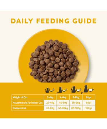 Applaws Complete and Grain Free Dry Kitten Food Kitten Chicken for all Cats 2 kg Bag (Pack of 1) Kitten Chicken 2 kg (Pack of 1) - Buy Online on GoSupps.com