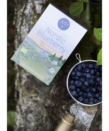 JUST T Nordic Blueberry Premium Pyramid Tea Bag (20 pcs) | Organic Forest Berry Infused Fruit Tea | Biodegradable Tea Bags | High-Grown Leaf Tea - Buy Online on GoSupps.com