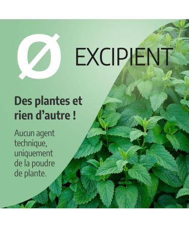 Lemon Balm 250 mg - 200 Capsules - Ecocert Certified - Buy Online on GoSupps.com